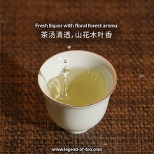 Load image into Gallery viewer, 2025 Wuliang Mountain 无量山古树