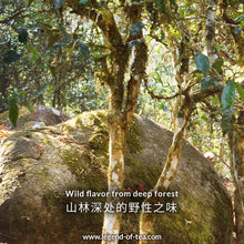 Load image into Gallery viewer, 2025 GuangGang LaoZhai 广岗老寨