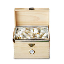 Muatkan imej ke dalam penonton Galeri, <tc>Teh Pu-erh Mentah Ekologi Longzhu Gunung Huazhu</tc>