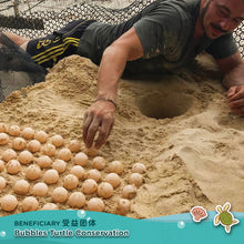 Muatkan imej ke dalam penonton Galeri, Celengan Penyu Laut Tin Amal Teh