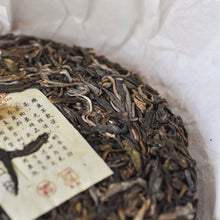 Muatkan imej ke dalam penonton Galeri, 2024 Pokok Purba NaKa