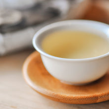 Muatkan imej ke dalam penonton Galeri, 2024 Pokok Purba NaKa