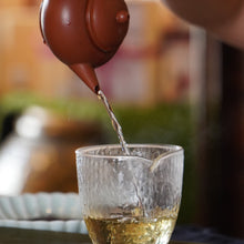 Load image into Gallery viewer, 2025 Wuliang Mountain 无量山古树