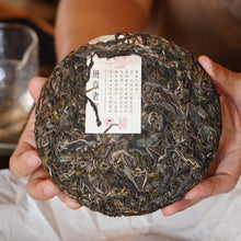 Load image into Gallery viewer, 2025 BanZhang LaoZhai 班章老寨