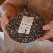 Load image into Gallery viewer, 2025 Wuliang Mountain 无量山古树