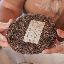 Load image into Gallery viewer, 2025 Bulang Hua Qian Gu 布朗花千骨