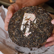 Muatkan imej ke dalam penonton Galeri, Prapesan | 2025 Wengji Cha Hun “Tea Soul” 翁基茶魂