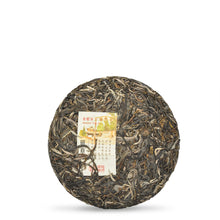 Muatkan imej ke dalam penonton Galeri, 2022 BanZhang LaoZhai - LEGEND OF TEA
