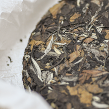 Muatkan imej ke dalam penonton Galeri, FuDing GongMei White Tea - LEGEND OF TEA