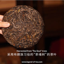 将图片加载到图库查看器，&lt;tc&gt;预订 | 2025 翁基茶魂早春古树&lt;/tc&gt;
