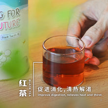 Muatkan imej ke dalam penonton Galeri, Sea Turtle Piggy Bank Charity Tea Cans
