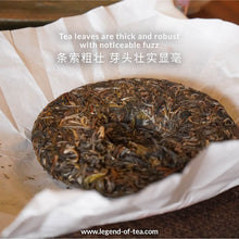 Load image into Gallery viewer, 2025 BanZhang LaoZhai 班章老寨
