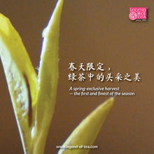Load image into Gallery viewer, 2025 Early Spring Shi Feng Dragon Well Tea
