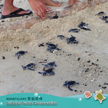 Load image into Gallery viewer, Sea Turtle Charity T-Shirt + Canvas Tote Bag Set
