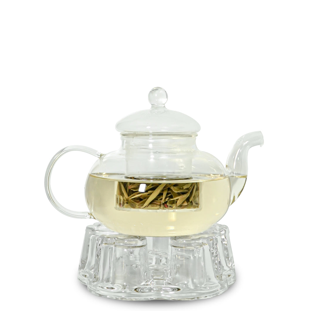 Glass Teapot Warmer Set with Infuser