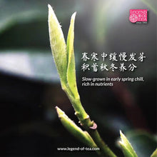 Load image into Gallery viewer, 2025 Early Spring Shi Feng Dragon Well Tea
