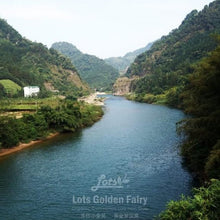 Load image into Gallery viewer, Lots Golden Fairy &quot;Luo Han Guo&quot; - LEGEND OF TEA

