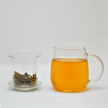 Muatkan imej ke dalam penonton Galeri, Glass Infuser Mug (Tall) - LEGEND OF TEA

