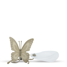 将图片加载到图库查看器，Butterfly Filter - LEGEND OF TEA
