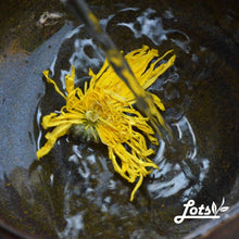 将图片加载到图库查看器，Emperor Chrysanthemum - LEGEND OF TEA

