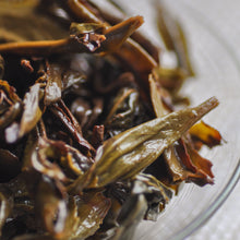 将图片加载到图库查看器，Gold Award Da Hong Pao - LEGEND OF TEA
