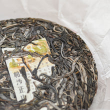 将图片加载到图库查看器，2022 PaSha ZhengShan - LEGEND OF TEA
